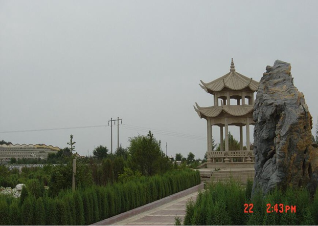 公墓环境