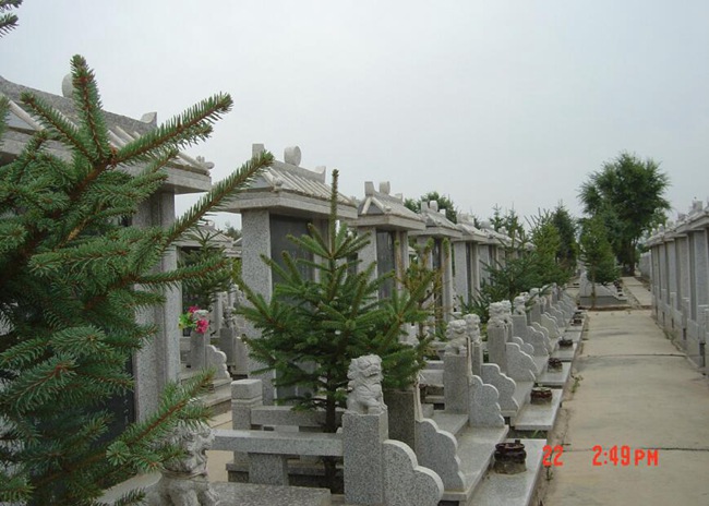 公墓环境